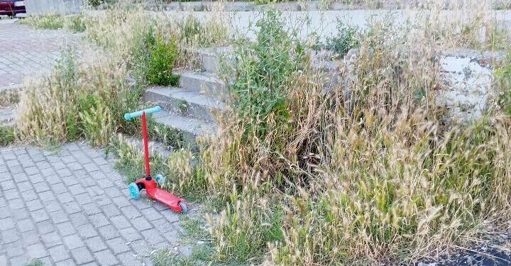 OTLUK ALANA DÖNEN BU PARK BAKIM VE TEMİZLİK BEKLİYOR