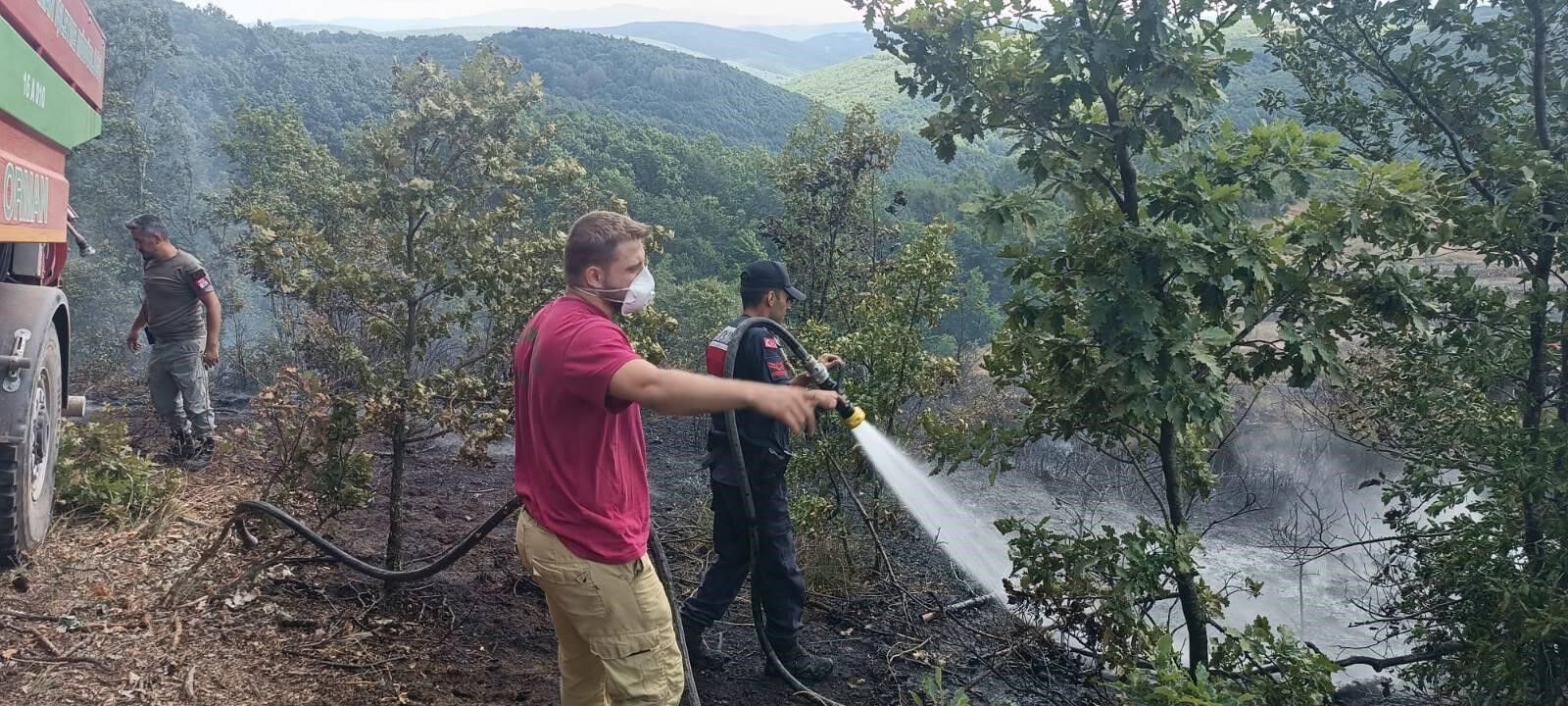 20 DÖNÜMLÜK ALANDA KORKUTAN YANGIN