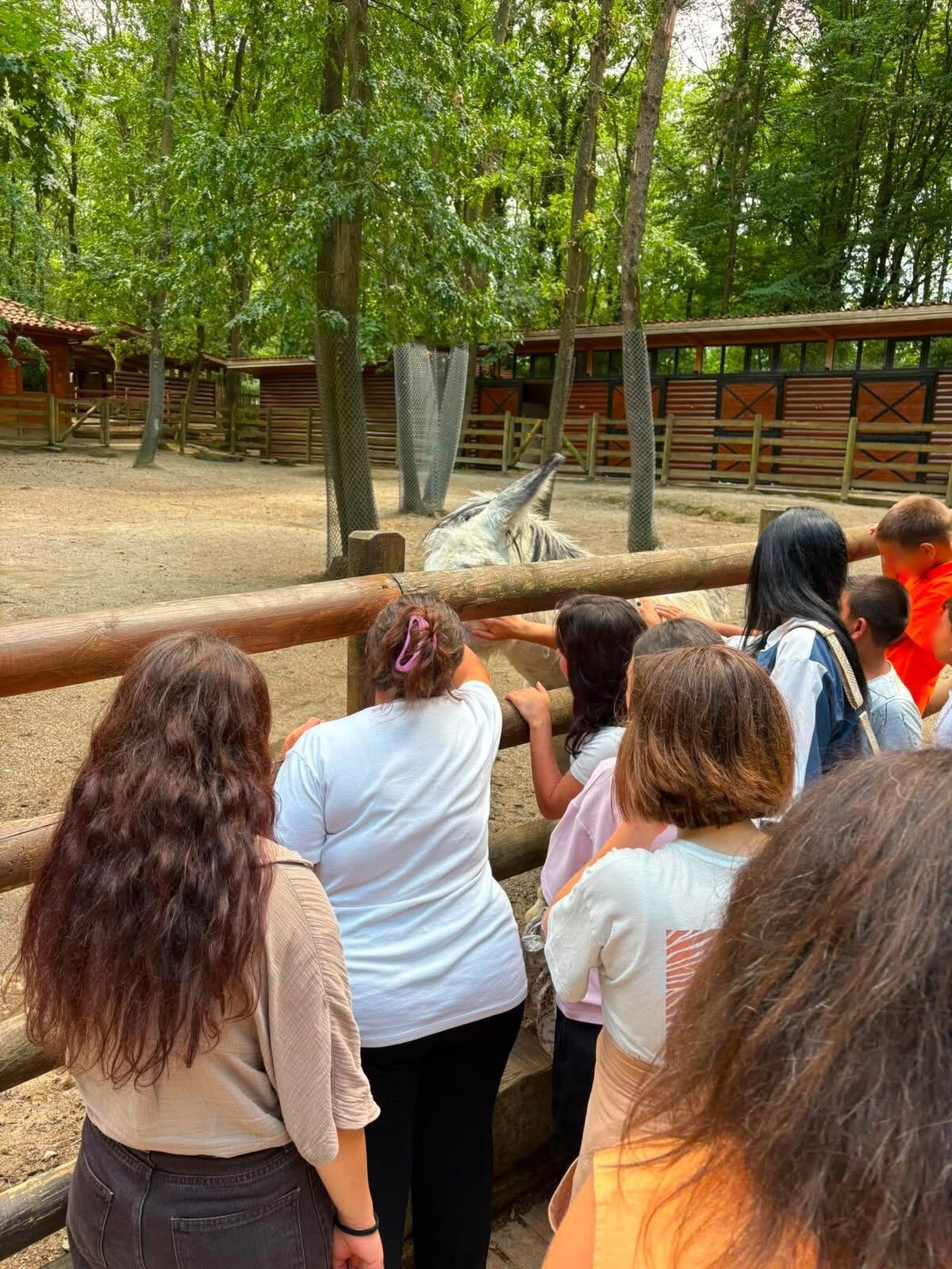 KORUMA ALTINDAKİ ÇOCUKLARA DOĞA VE EĞLENCE DOLU GÜN