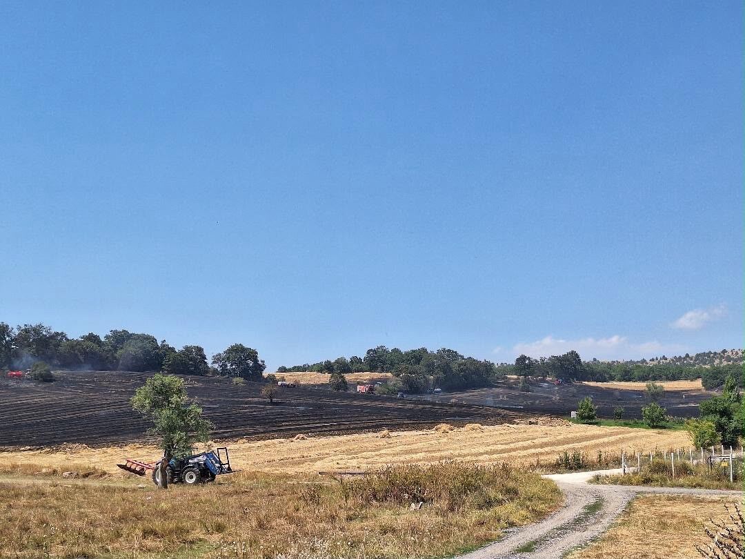 BOZÜYÜK’TEKİ YANGINDA 80 DÖNÜM TARIM ARAZİSİ ZARAR GÖRDÜ